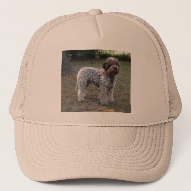 cap lagotto-romagnolo (Front)