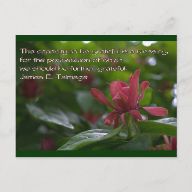 capacity to be grateful postcard (Front)