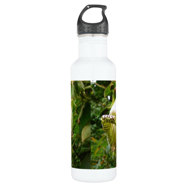 Capanea Grandiflora 710 Ml Water Bottle (Front)