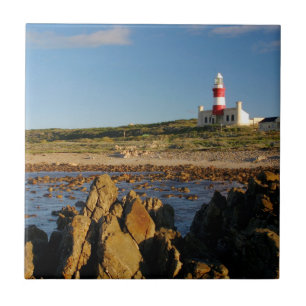 Cape Agulhas Lighthouse, Western Cape 2 Tile