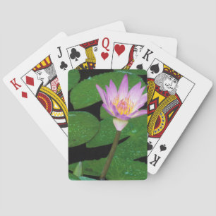 Cape Blue Water Lily (Nymphaea Capensis) Playing Cards