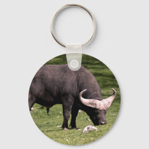 Cape Buffalo Eating Key Ring
