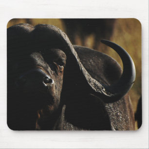 Cape Buffalo exclusive designer mousemats