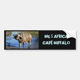 Cape Buffalo safari big 5 bumper stickers