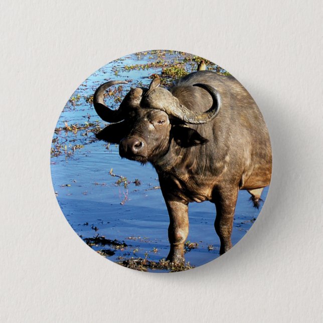 Cape Buffalo safari big 5 buttons & badges (Front)