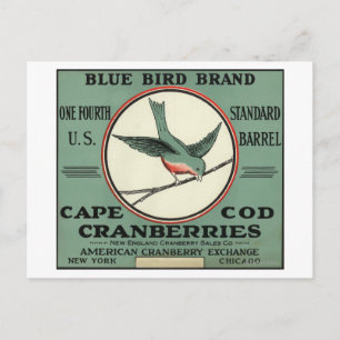 Cape Cod Blue Bird Brand Cranberry Label Postcard