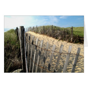 Cape Cod Dune Fencing