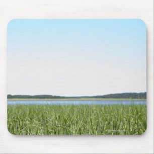 Cape Cod Marsh Mouse Pad