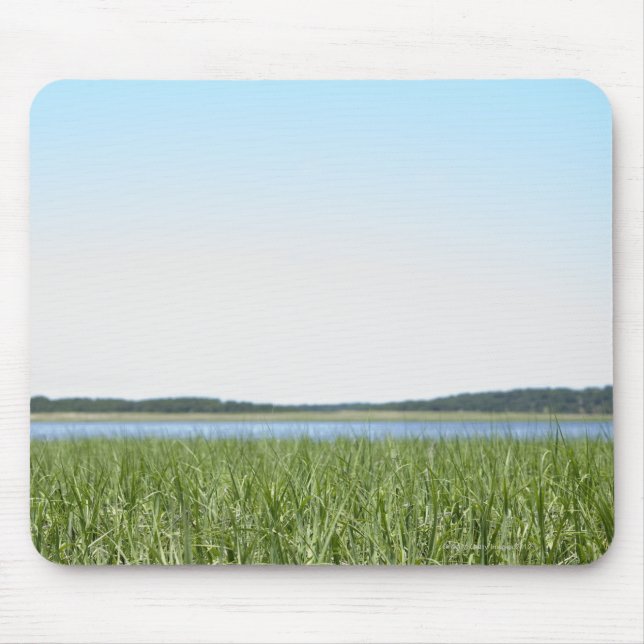Cape Cod Marsh Mouse Pad (Front)