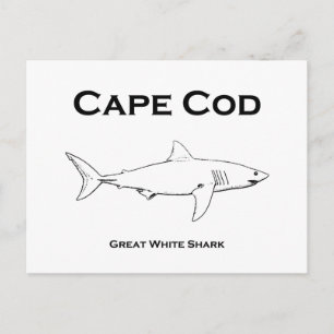 Cape Cod Massachusetts Great White Shark Logo Postcard