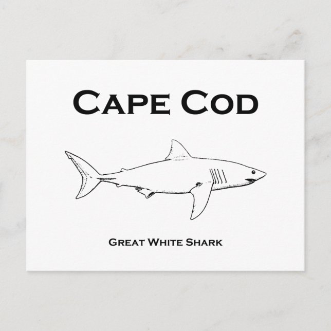 Cape Cod Massachusetts Great White Shark Logo Postcard (Front)