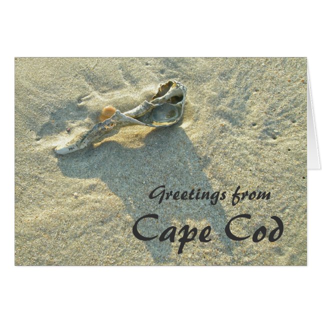 Cape Cod Massachusetts - Shell & Surf (Front Horizontal)