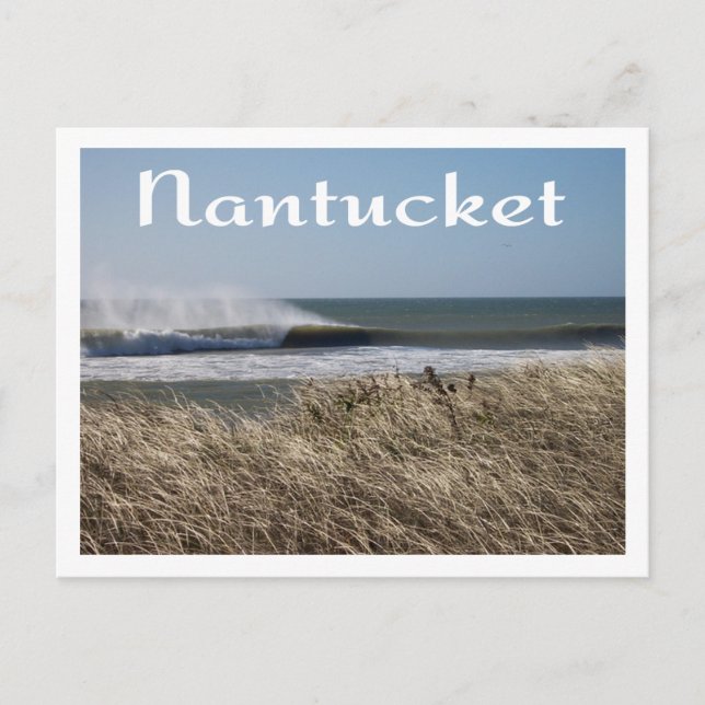 Cape Cod  Nantucket, Massachusetts Postcard (Front)