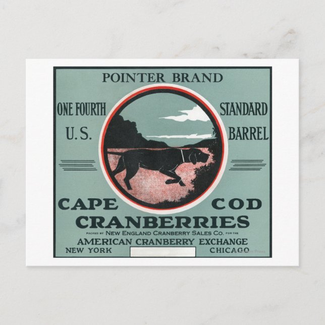 Cape Cod Pointer Brand Cranberry Label Postcard (Front)