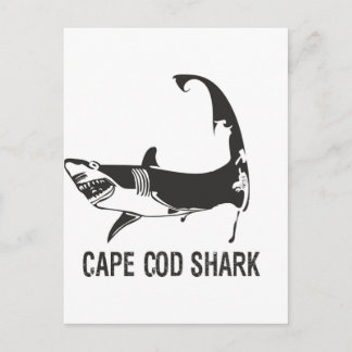 CAPE COD SHARK POSTCARD