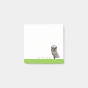 Cape Coral Florida Art Post-it Notes