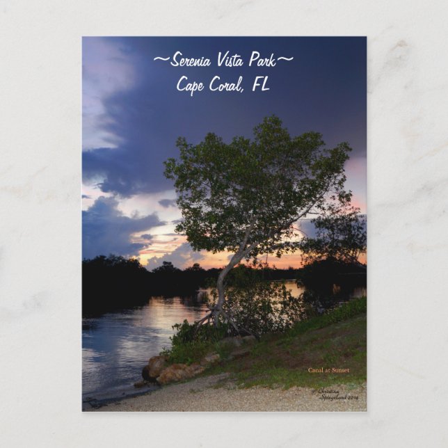 Cape Coral park canal sunset Postcard (Front)