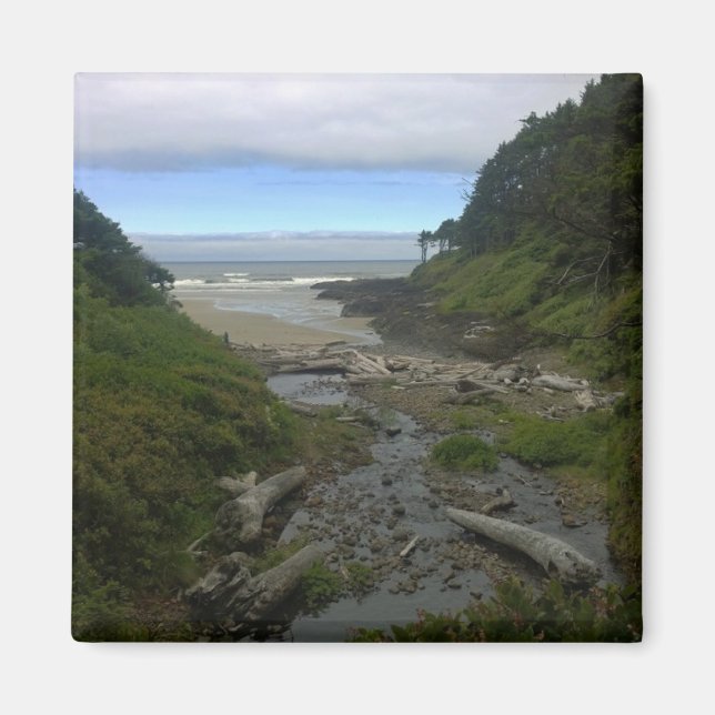 Cape Cove, Cape Perpetua, Oregon Magnet (Front)