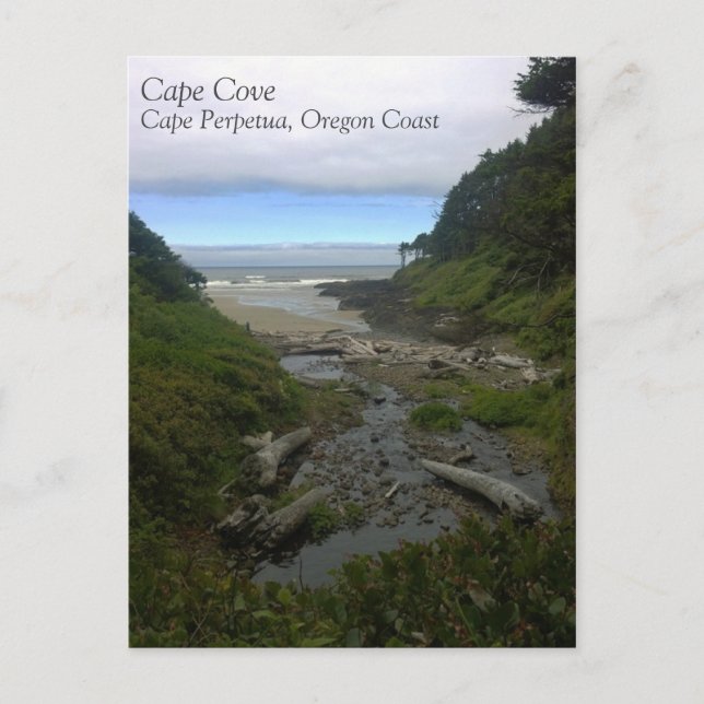 Cape Cove, Cape Perpetua, Oregon Postcard (Front)