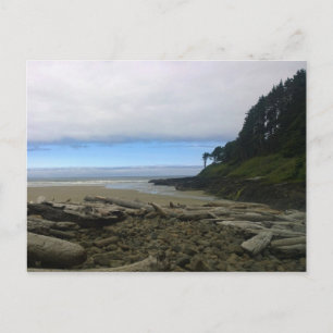 Cape Cove, Cape Perpetua, Oregon Postcard