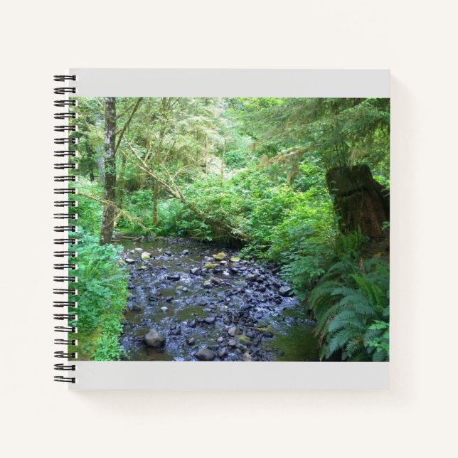 Cape Creek, Cape Perpetua, Oregon Notebook (Front)