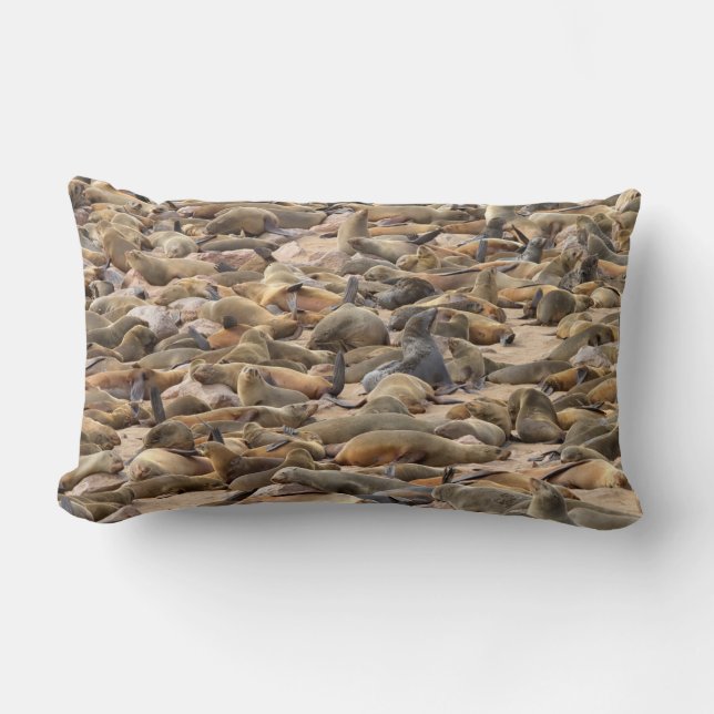 Cape Cross Seal Reserve Lumbar Cushion (Front)