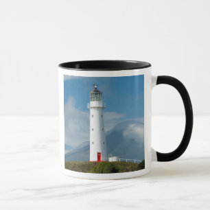 Cape Egmont Lighthouse and Mt Taranaki/Mt Mug