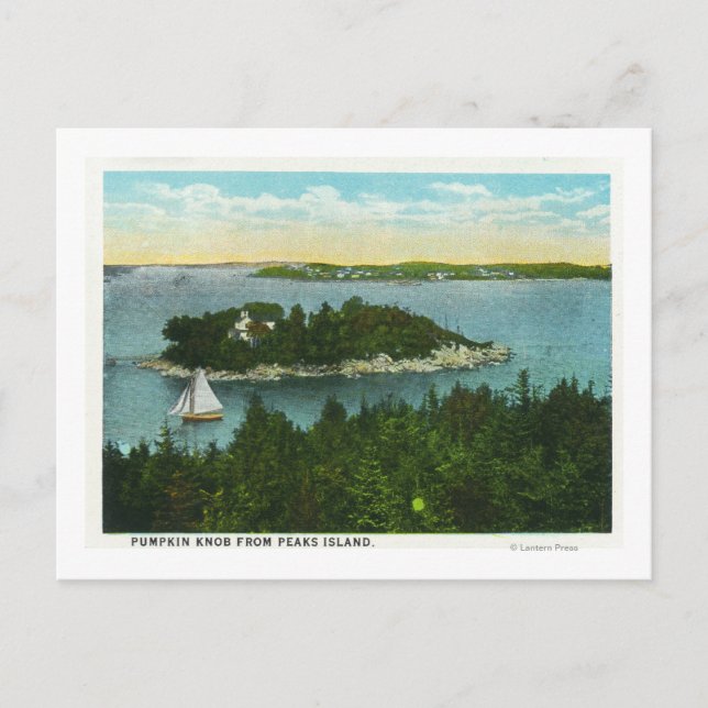 Cape Elizabeth View of Two Lighthouses Postcard (Front)