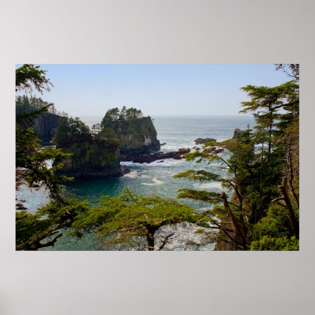 Cape Flattery Inlet, Washington Print (Front)