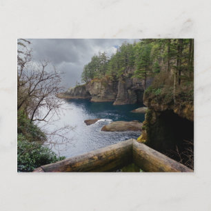 Cape Flattery Olympic National Park Postcard