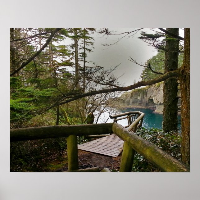 Cape Flattery Olympic Peninsula - Washington Poster (Front)