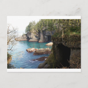 Cape Flattery WA Photo Art West Coast Pacific NW Postcard