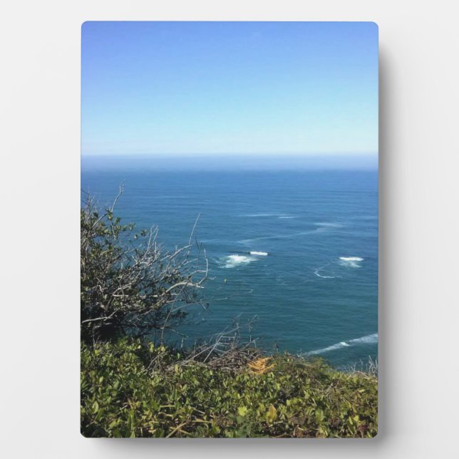 Cape Foulweather, Oregon Plaque (Front)
