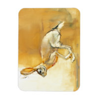 Cape Hare 2010