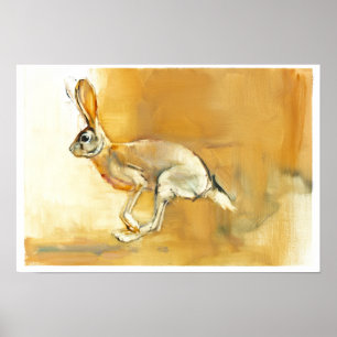 Cape Hare 2010 Poster