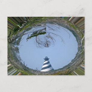 Cape Hatteras Lighthouse from Wetlands Series Postcard