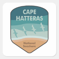 Cape Hatteras National Seashore Seagulls