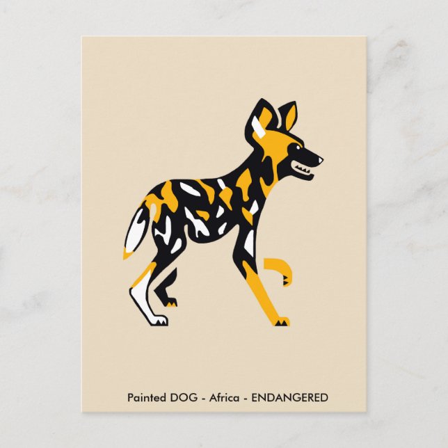 Cape hunting dog - Painted dog - Endangered animal Postcard (Front)
