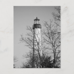 Cape May Light b/w Postcard