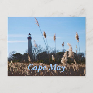 Cape May lighthouse Postcard