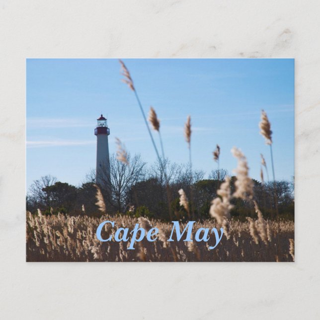 Cape May lighthouse Postcard (Front)