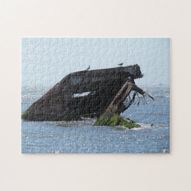 Cape May Shipwreck Jigsaw Puzzle (Horizontal)