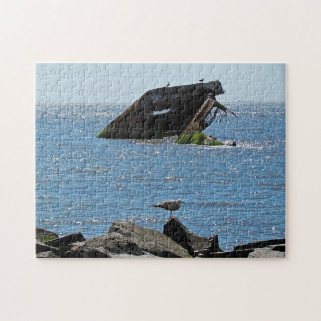 Cape May Shipwreck Jigsaw Puzzle (Horizontal)