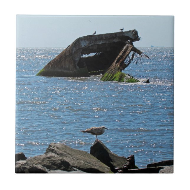 Cape May Shipwreck Tile (Front)