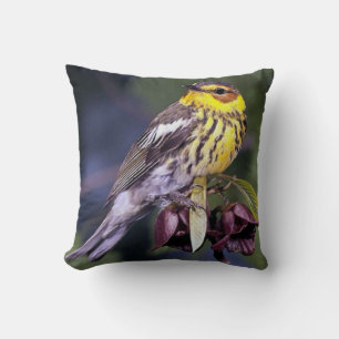 Cape May Warbler Bird Lovers Gifts Cushion