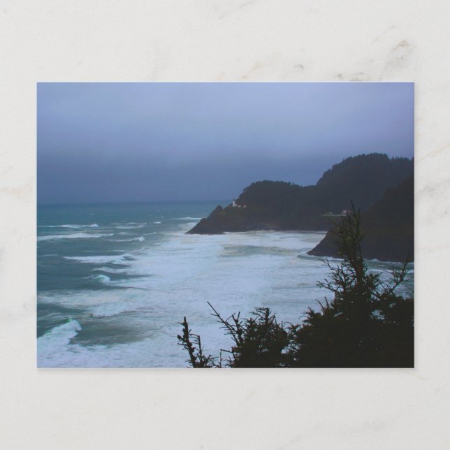 Cape Mist Postcard (Front)