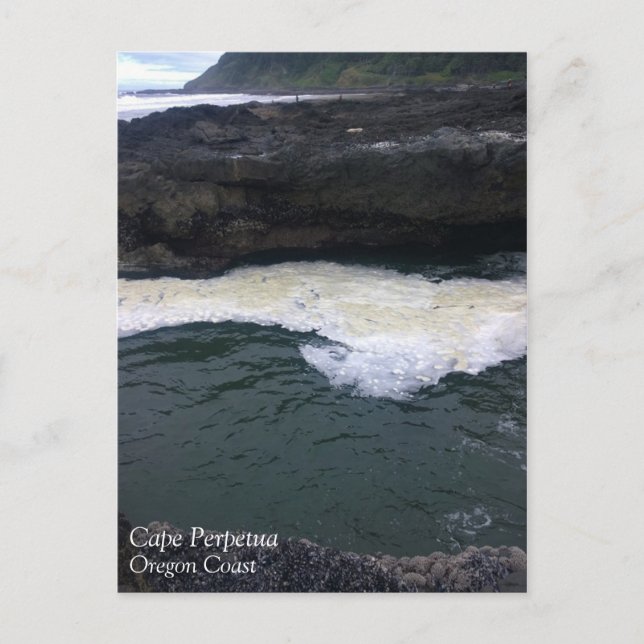 Cape Perpetua, Oregon Coast Postcard (Front)