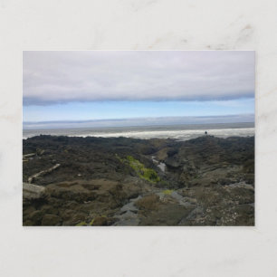 Cape Perpetua, Oregon Coast Postcard