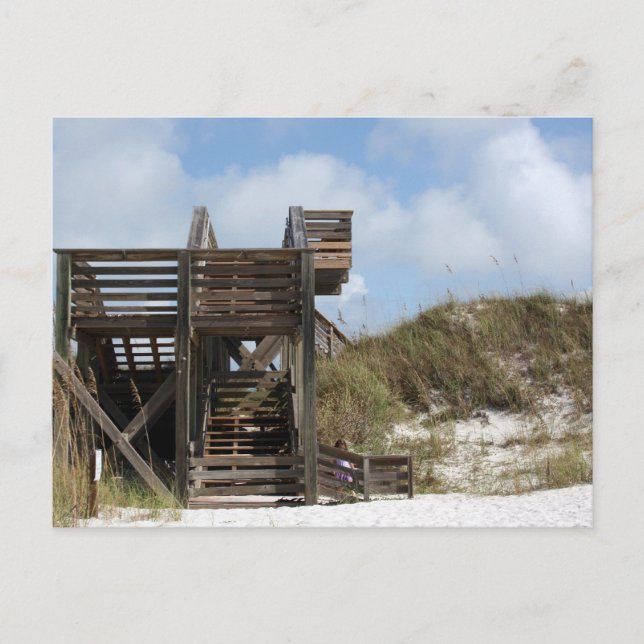 Cape San Blas Florida Dunewalk from beach side Postcard (Front)