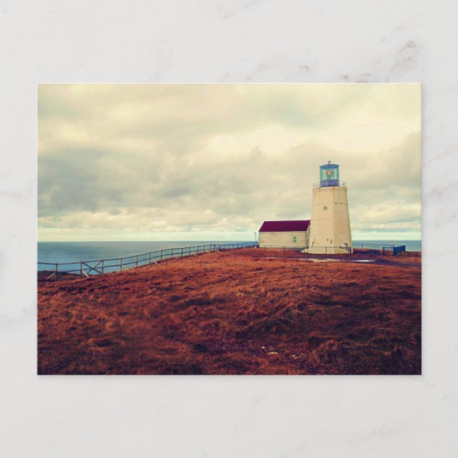 Cape St. Mary's Lighthouse Postcard (Front)